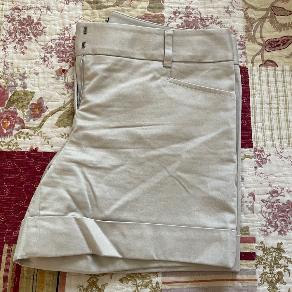 Express Shorts Size 2 - like new